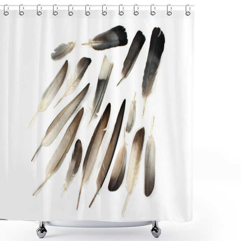 Personality  Feathers Isolated On White Shower Curtains