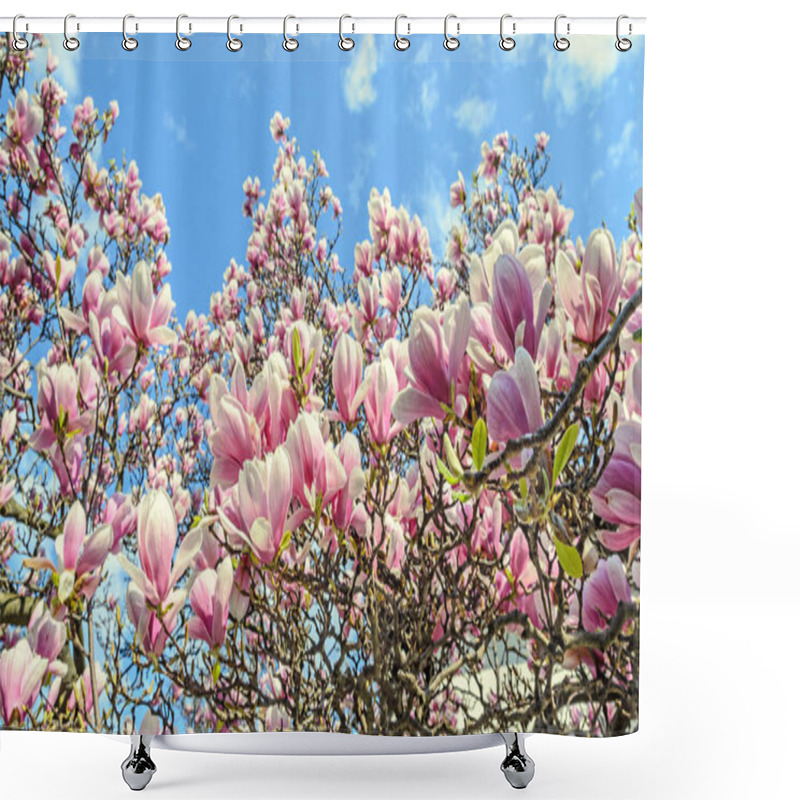 Personality  Magnolia Pink Blossom Tree Flowers, Close Up Branch, Outdoor Shower Curtains