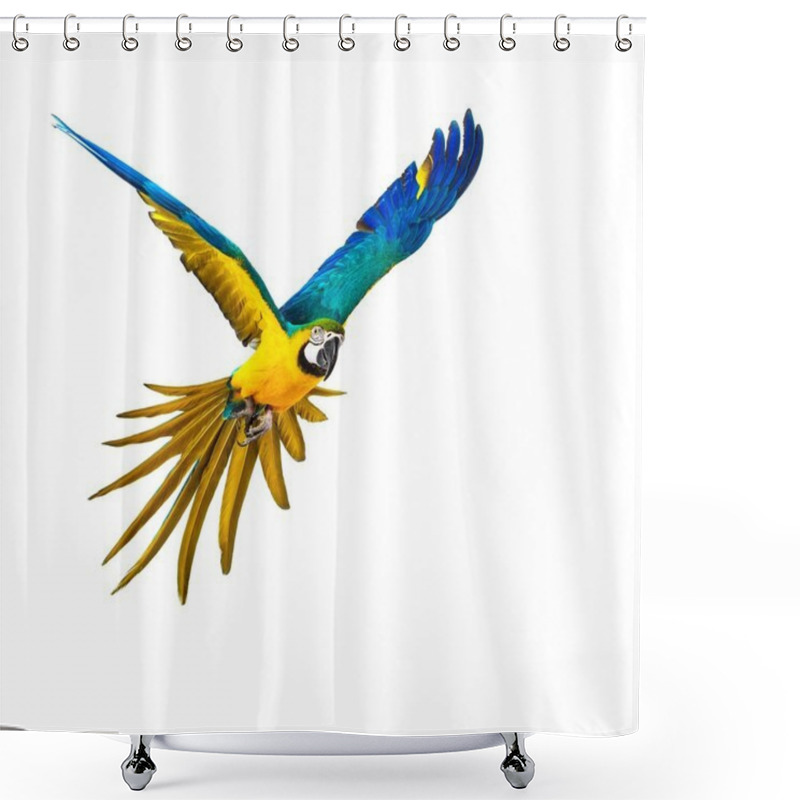 Personality  Colourful Flying Parrot Isolated On White  Shower Curtains