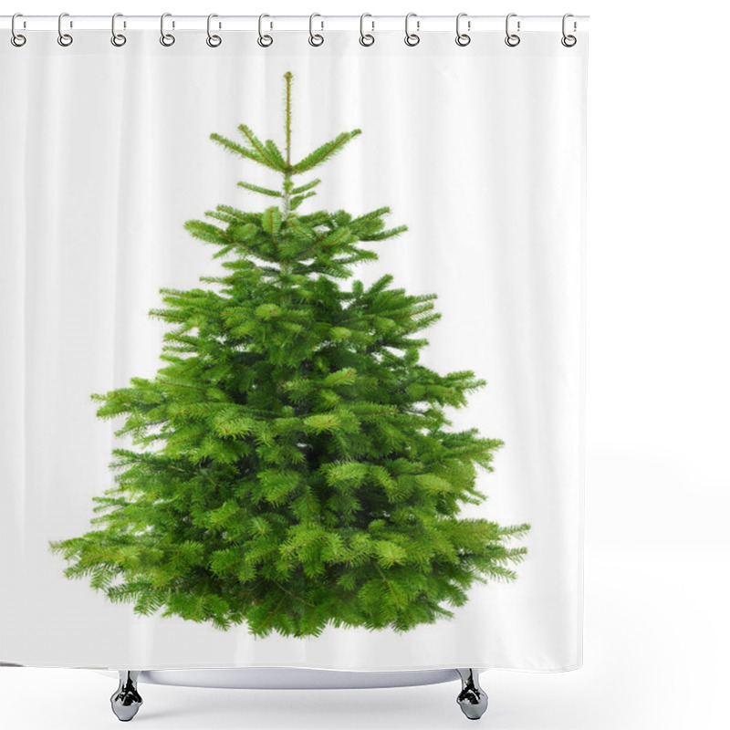 Personality  Perfect Lush Christmas Tree Without Ornaments Shower Curtains