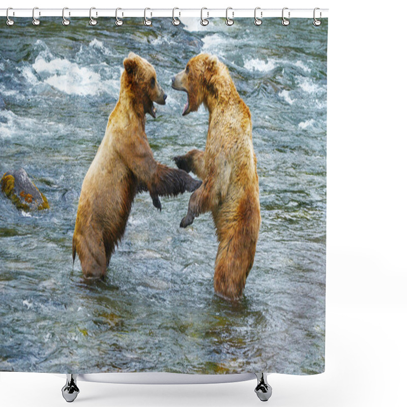 Personality  Grizzly Bear Fight Shower Curtains