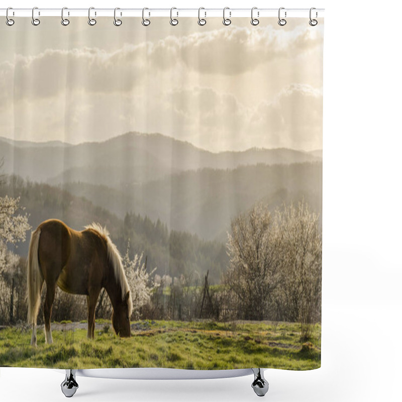 Personality  Beautiful Springtime Image Shower Curtains