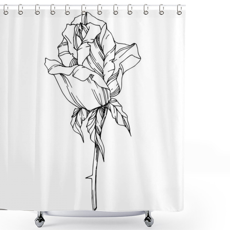 Personality  Vector Rose. Floral Botanical Flower. Engraved Ink Art. Isolated Rose Illustration Element. Beautiful Spring Wildflower Isolated On White. Shower Curtains