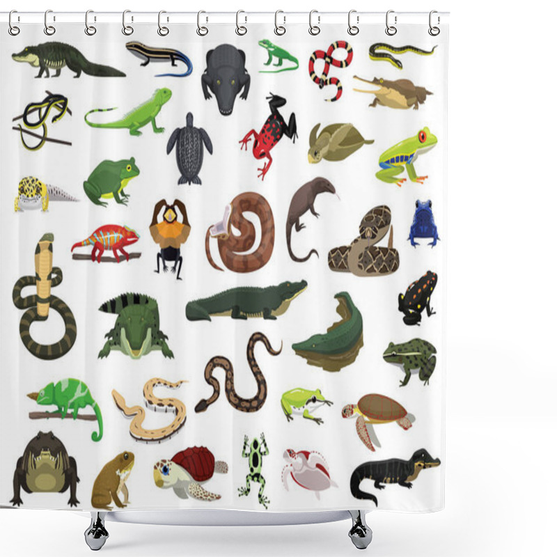 Personality  Various Reptile And Amphibian Vector Illustration Shower Curtains