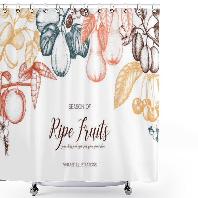 Personality  Vintage Collection Of Ripe Fruits And Berries Illustrations - Fig, Apple, Pear, Peach, Apricot, Persimmon, Pomegranate, Quince, Grapes. Hand Drawn Harvest Sketch Set. Summer Or Autumn Design. Vector Illustration Shower Curtains