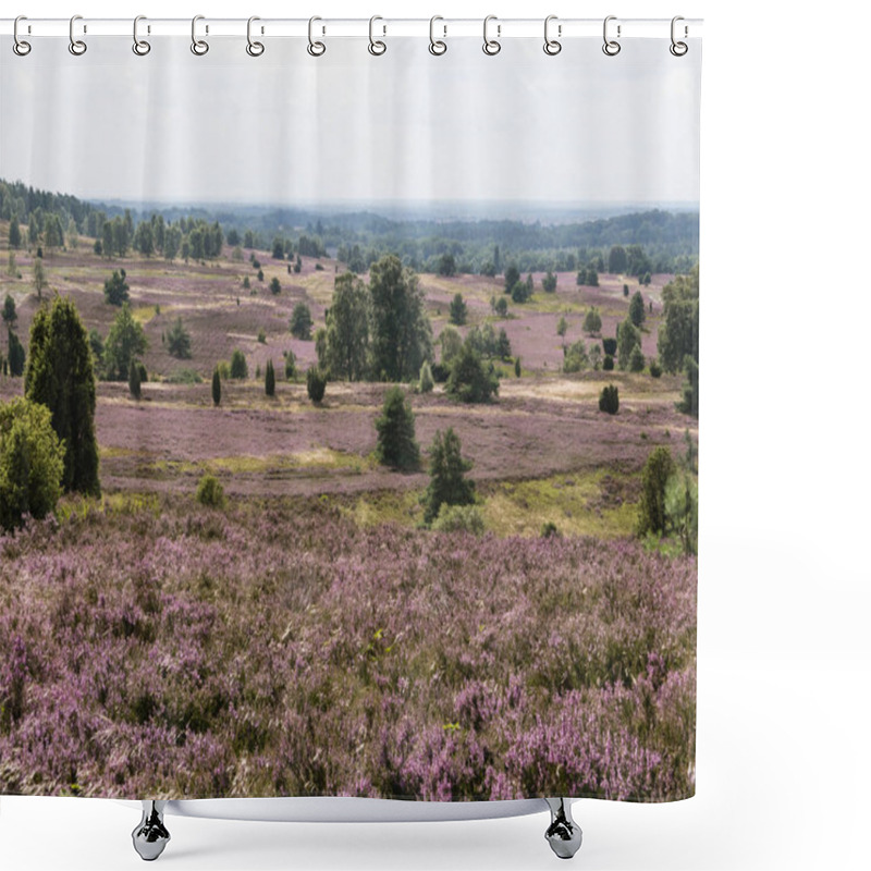 Personality  Luneburg Heath, Germany Shower Curtains