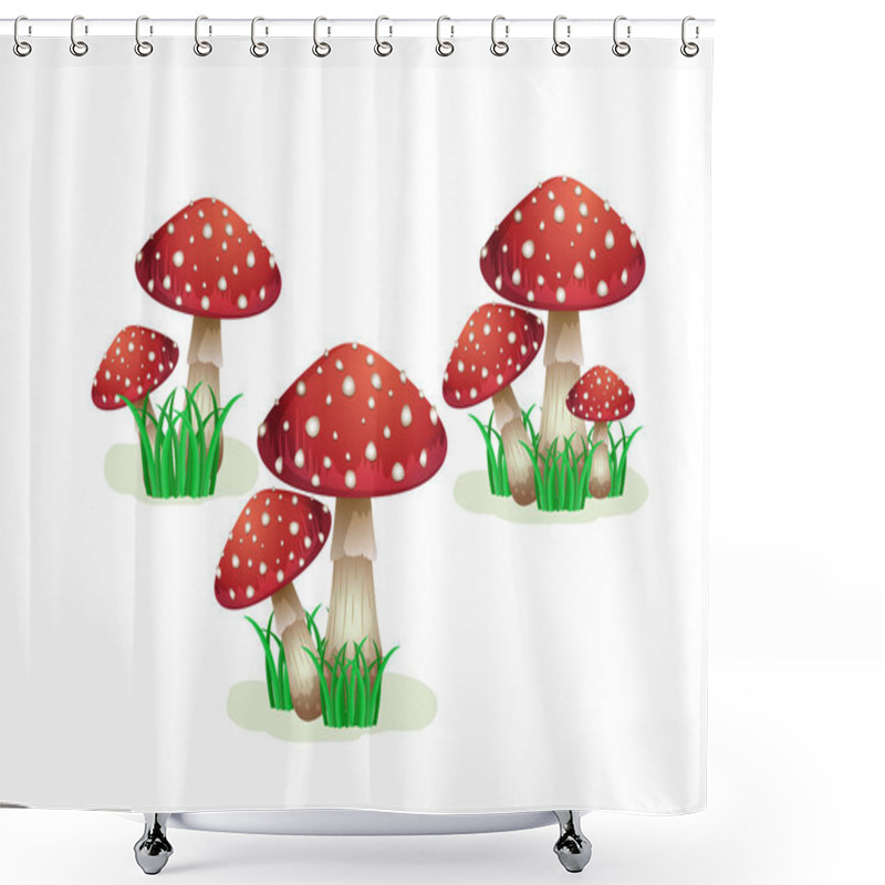 Personality  Set Of Mushrooms Isolated On White Background Shower Curtains