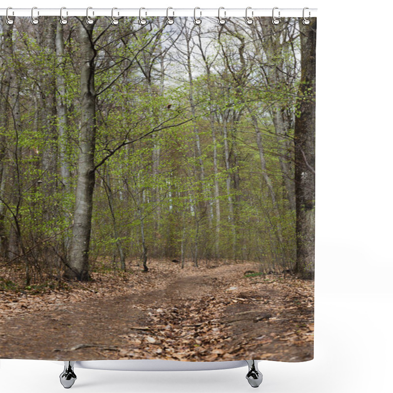 Personality  Pathway With Dry Leaves In Forest In Spring  Shower Curtains