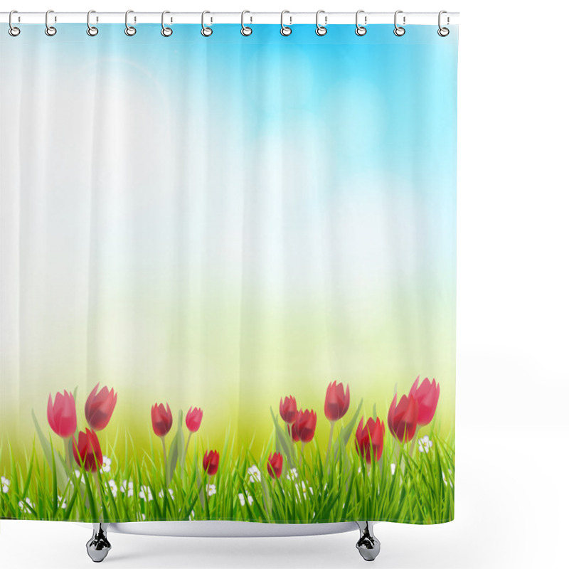 Personality  Spring Background With Tulips Shower Curtains