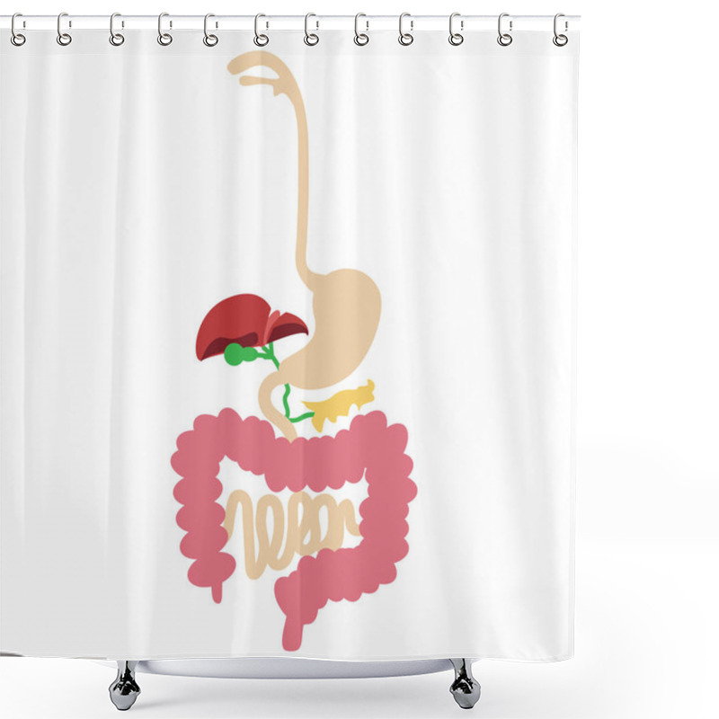 Personality  Human Digestive System Vector Shower Curtains