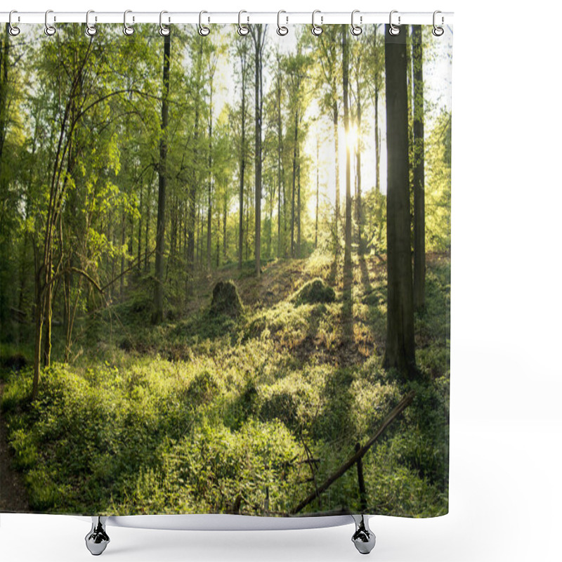 Personality  Beautiful Green Forest With Backlit Shower Curtains