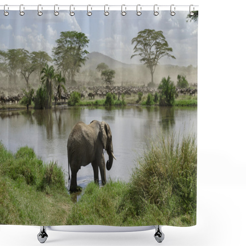 Personality  Elephant In River In Serengeti National Park, Tanzania, Africa Shower Curtains