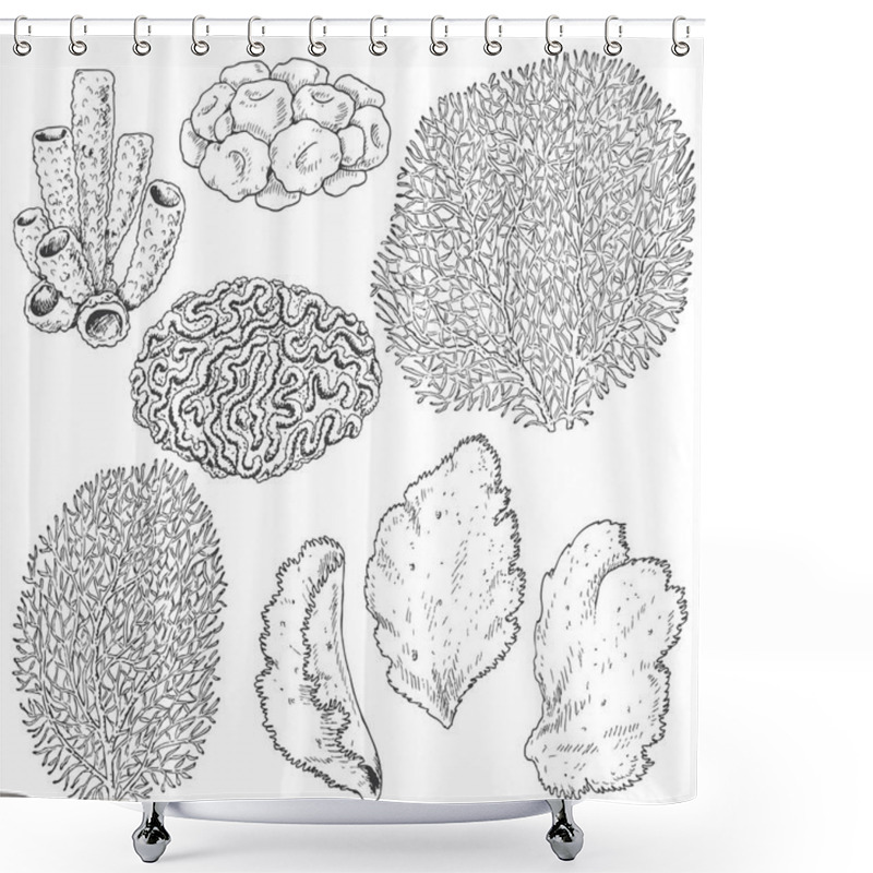 Personality  Sketch Of  Corals  Set Shower Curtains