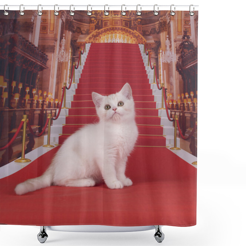 Personality  Scottish Kittens Playing In The Castle Shower Curtains