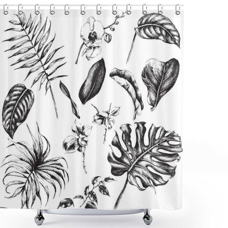 Personality  Set Of Tropical Plant Leaf.  Shower Curtains