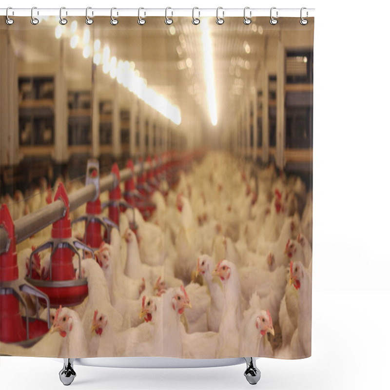 Personality  Chicken Farm, Poultry Shower Curtains