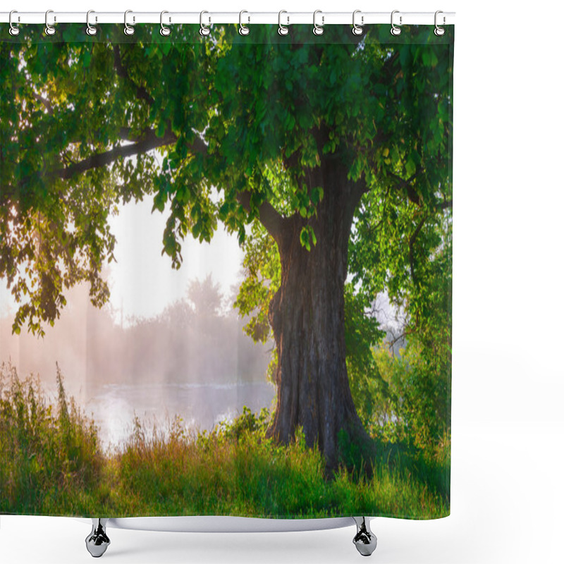 Personality  Oak Tree In Full Leaf In Summer Standing Alone Shower Curtains