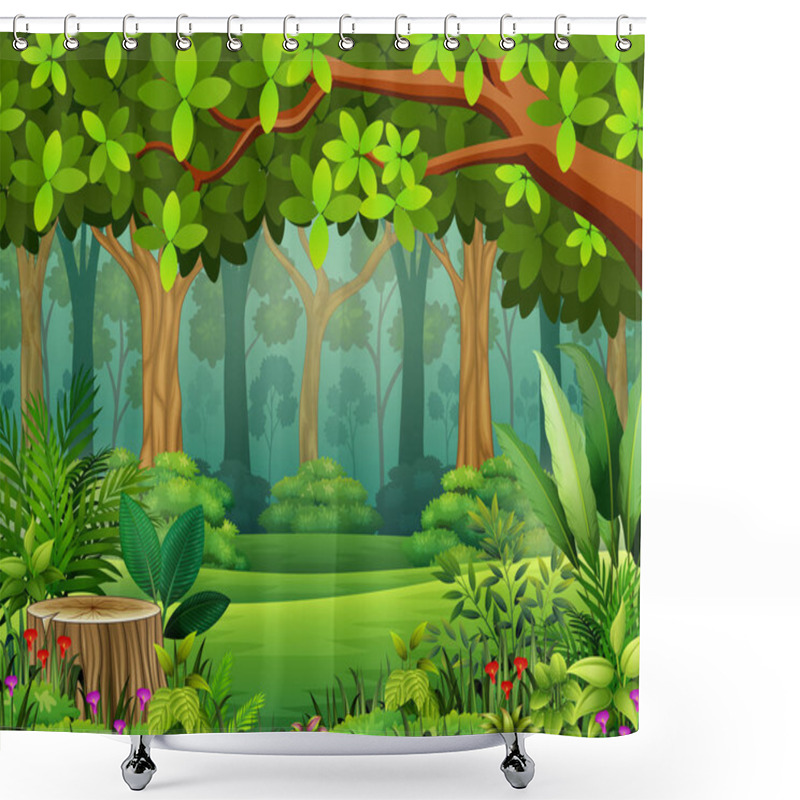 Personality  Vector Illustration Of Landscape Forest Cartoon Of Green In Spring Shower Curtains