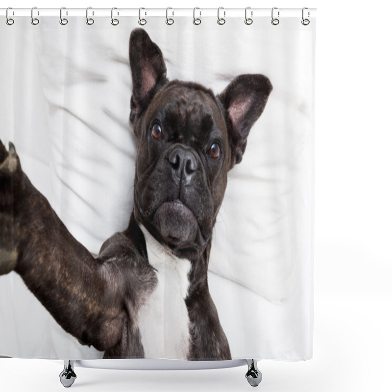 Personality  Dog Selfie In Bed Shower Curtains