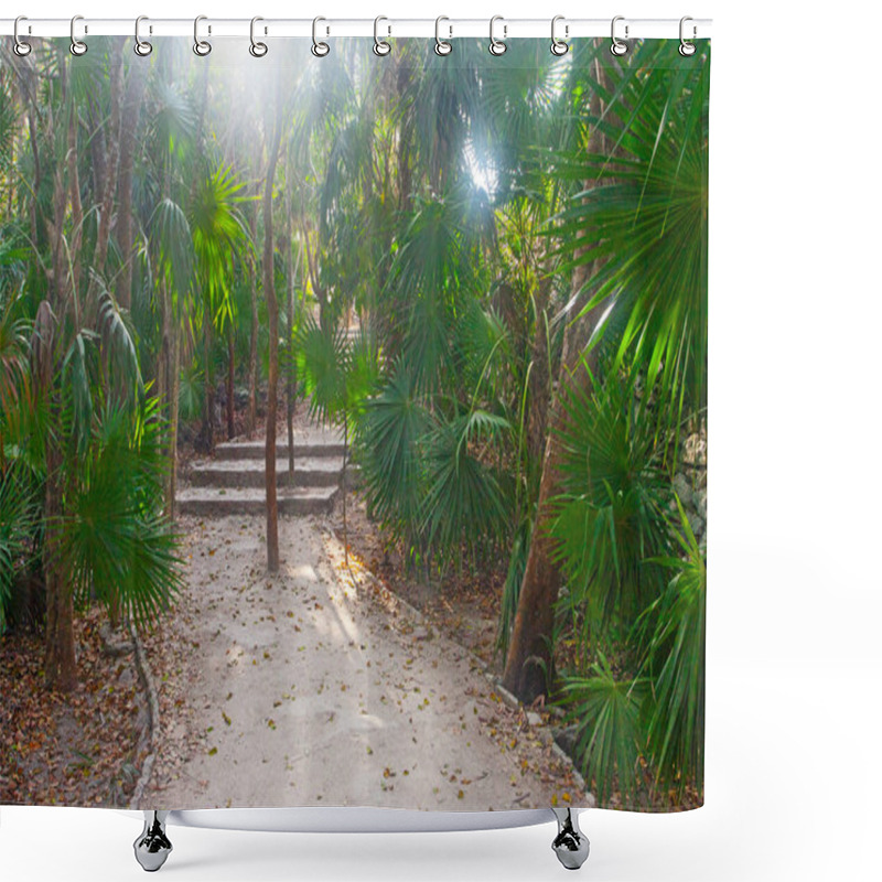 Personality  Early Morning In Park Near Tulum Ruins, Mexico Shower Curtains