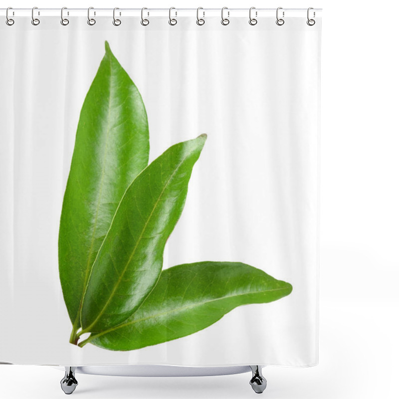 Personality  Lychee Leaf Isolated On White Clipping Path. Shower Curtains