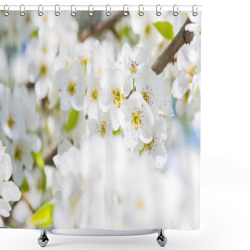 Personality  Beautiful Closeup Spring Blossoming Tree Shower Curtains