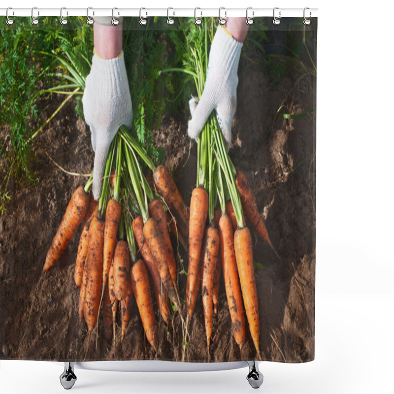 Personality  Harvesting Carrots Shower Curtains