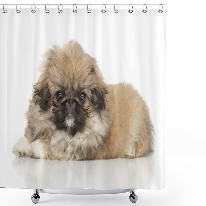 Personality  Pekingese Funny Puppy Shower Curtains