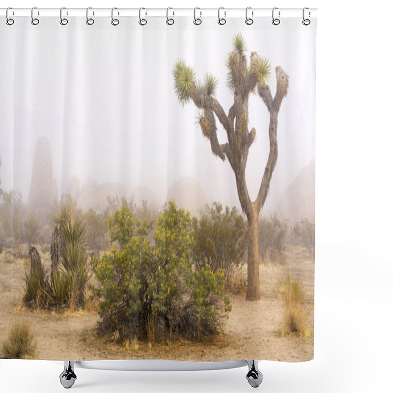 Personality  Foggy Spring Day At Joshua Tree National Park Shower Curtains