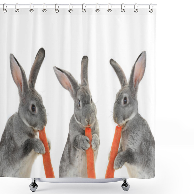 Personality  Gray  Rabbits With Carrots Shower Curtains