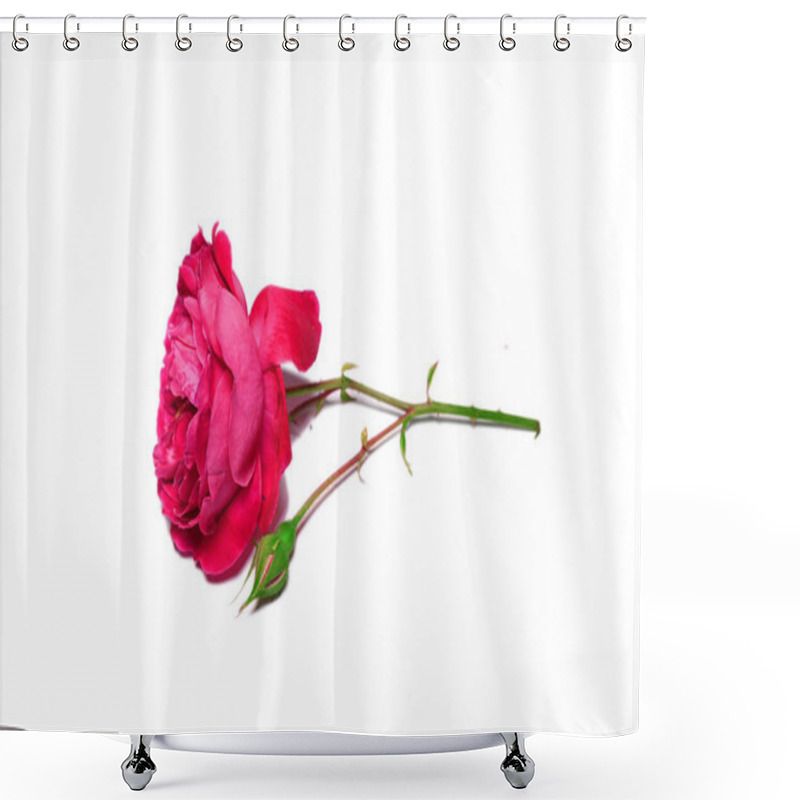 Personality  Rose Isolated On White Shower Curtains