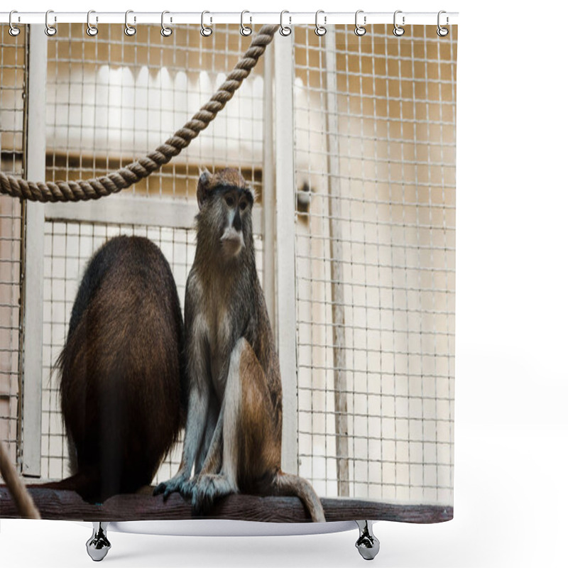 Personality  Selective Focus Of Monkeys Sitting On Wooden Log Near Rope And Cage  Shower Curtains