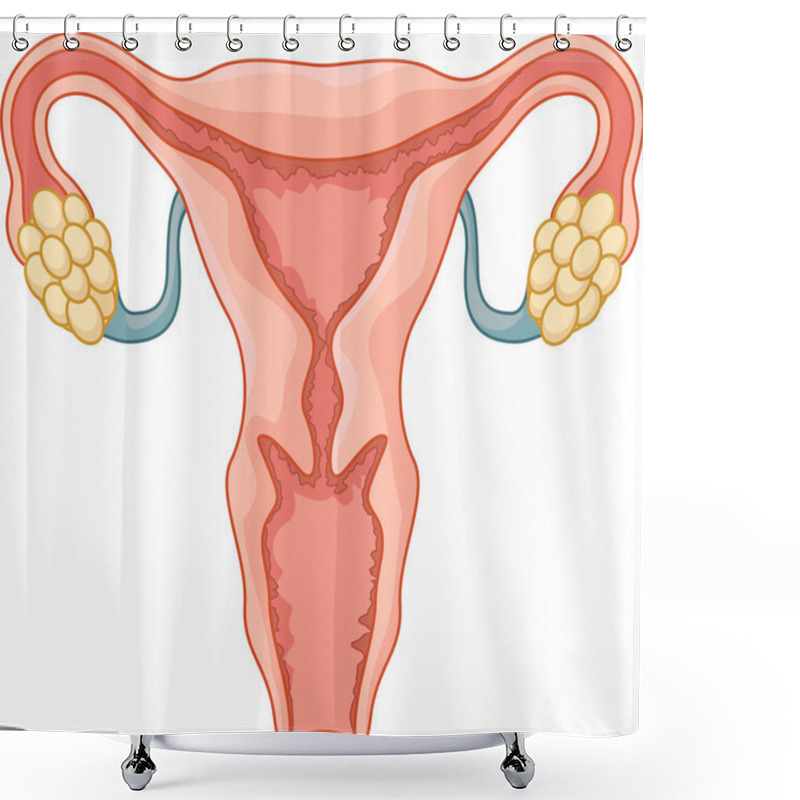 Personality  Female Reproductive System Cartoon Shower Curtains