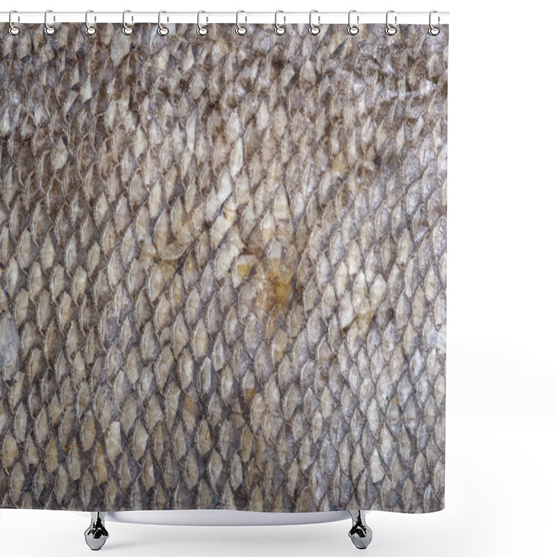 Personality  Fish Scales Texture Shower Curtains