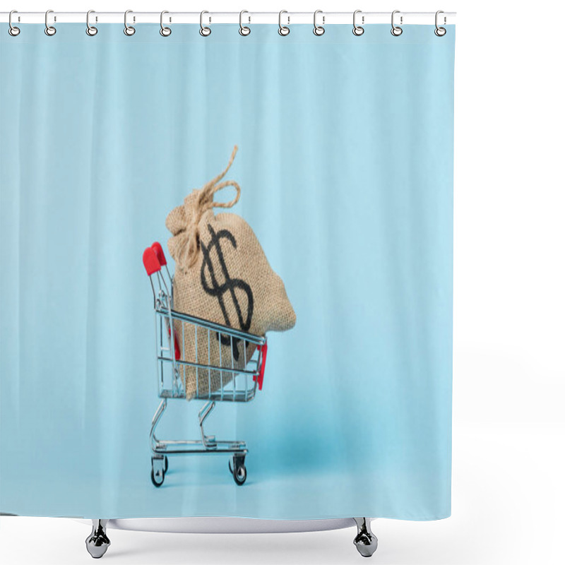 Personality  Toy Shopping Cart With Dollar Bag On Blue, Leasing Concept Shower Curtains