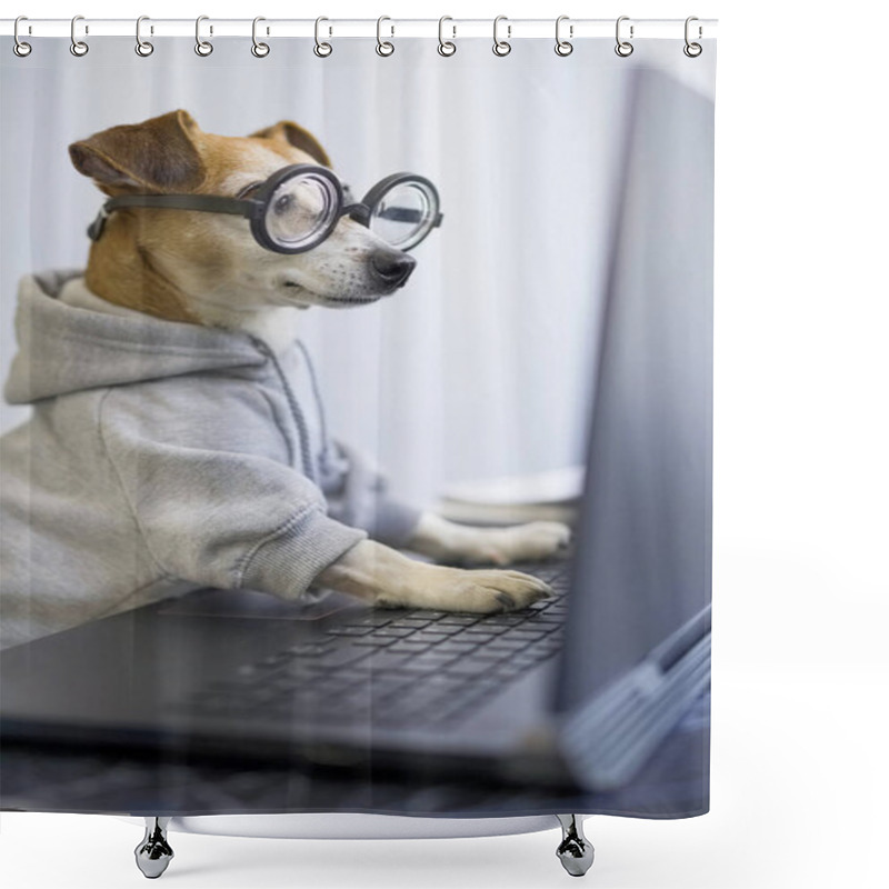 Personality  Smart Dog Using Computer. Funny Pet In Gray Jumper And Nerd Glasses Typing On Laptop Keyboard. Freelancer Lifestyle Working From Home. Quarantine Social Distancing. Vertical Photo. Working Hard Shower Curtains