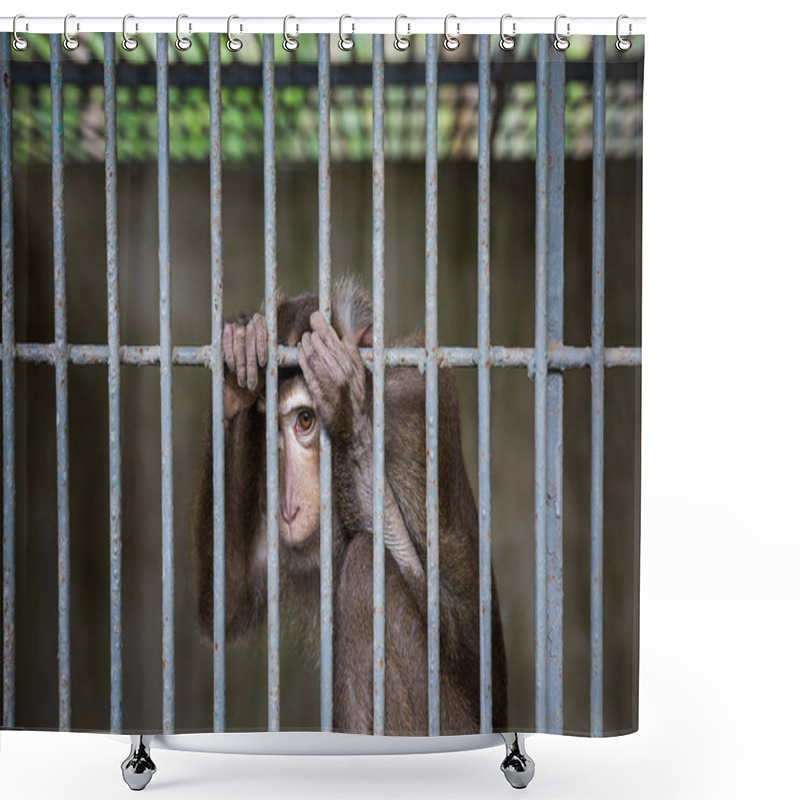 Personality  A Very Sad Monkey Sits In A Cage Shower Curtains