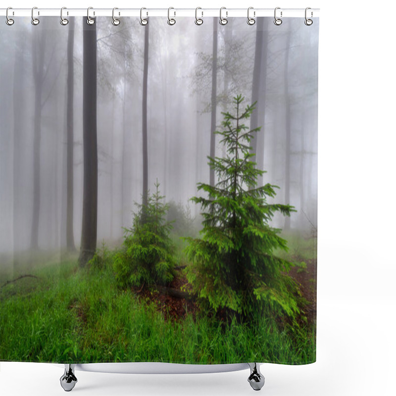 Personality  Summer Beech Forest With Fog In The Background Shower Curtains