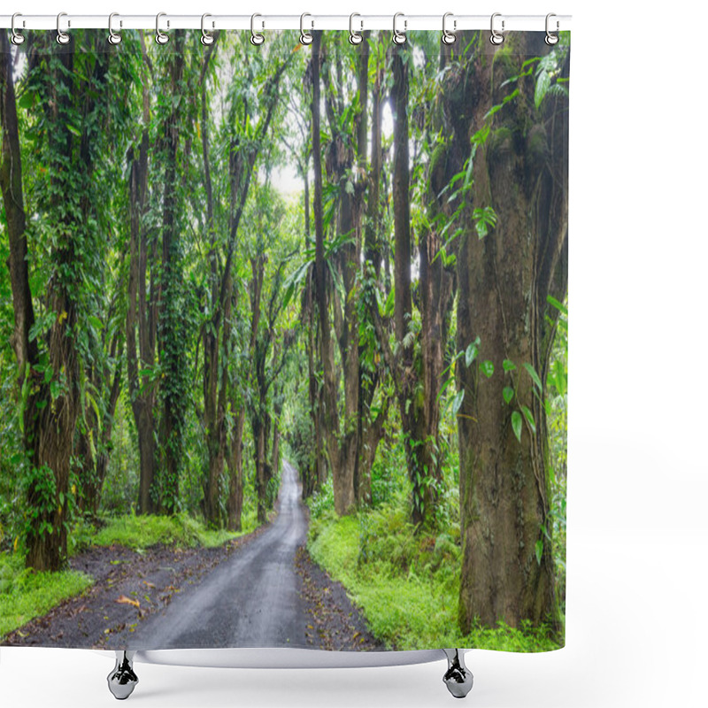 Personality  Dirt Road In Remote Jungle In Big Island, Hawaii Shower Curtains