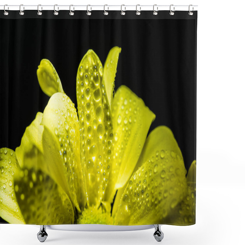 Personality  Close Up Of Yellow Daisy Flower With Drops On Petals, Isolated On Black Shower Curtains