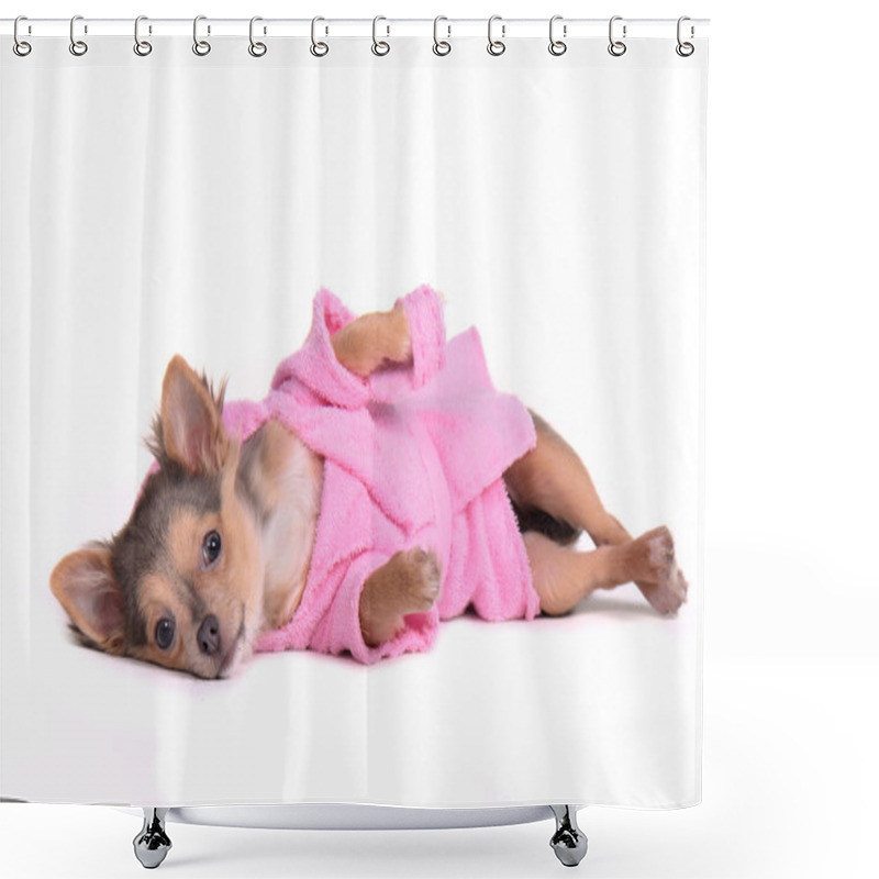 Personality  Chihuahua Puppy After The Bath Wearing Bathrobe And Slippers, Lying Isolate Shower Curtains