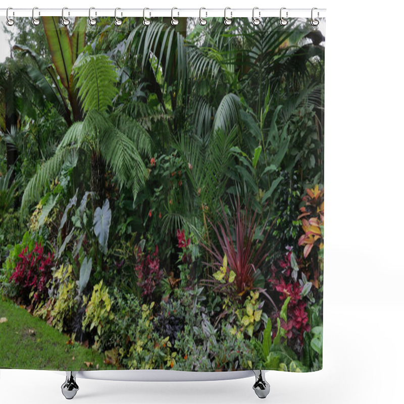 Personality  Beautiful Late Summer Flowerbed With Colourful Red And Green Foliage Shower Curtains