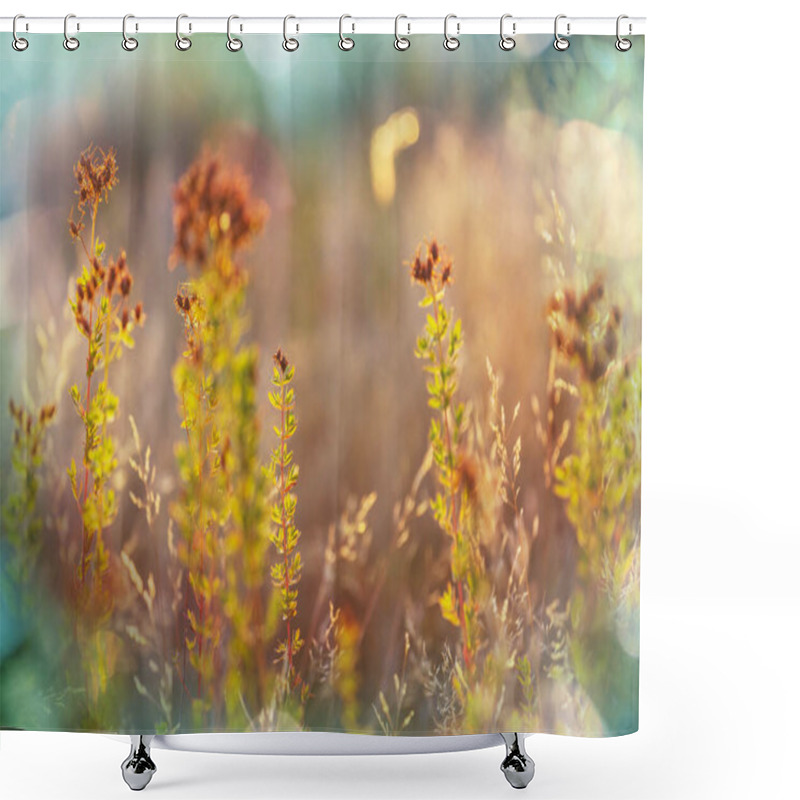 Personality  Sunny Day On The Flowers Meadow. Beautiful Natural Background. Shower Curtains