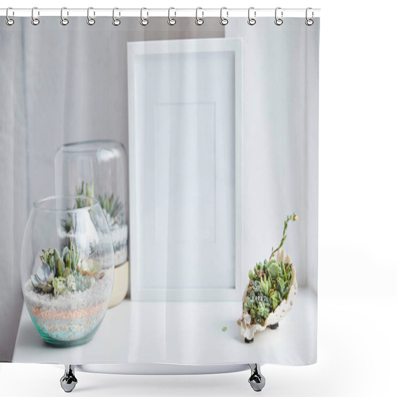 Personality  Selective Focus Of Green Succulents In Flowerpots And Seashell Near Empty Photo Frame On White Surface, Home Decor Shower Curtains