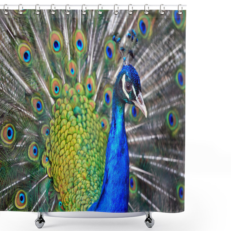 Personality  Male Peacock Shower Curtains