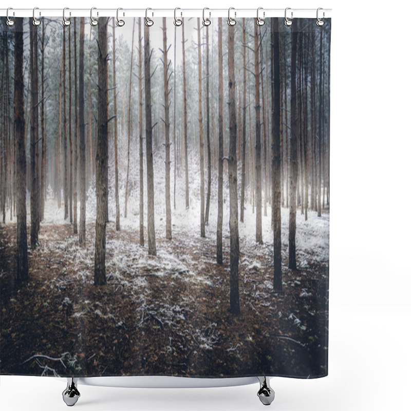 Personality  Spooky Winter Forest Covered By Mist Shower Curtains