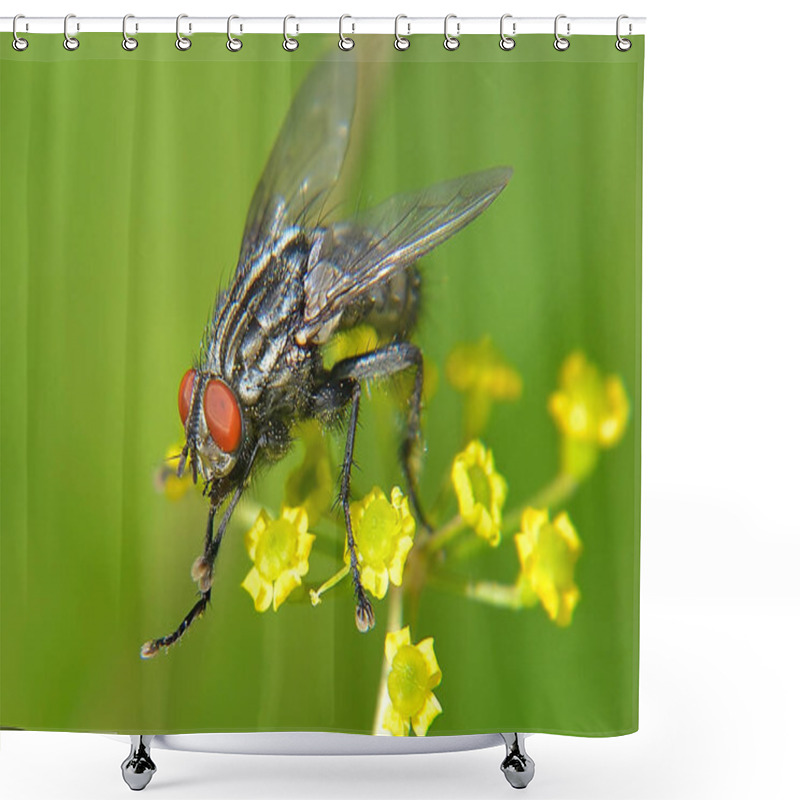 Personality  Fly On Yellow Flower Close-up. Shower Curtains