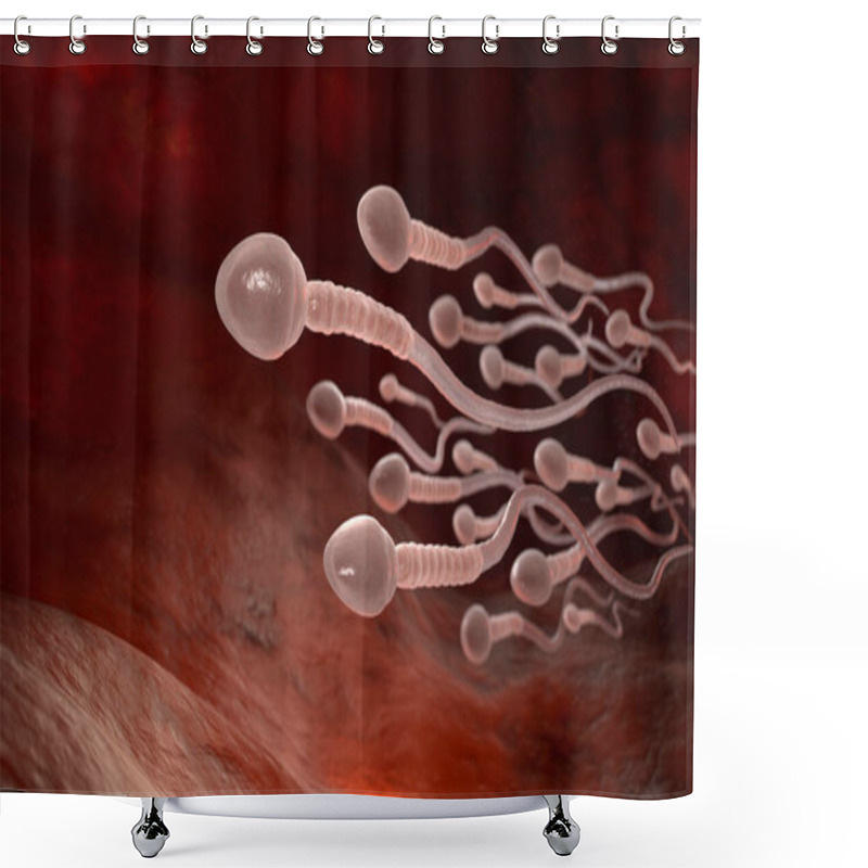 Personality  Male Sperm Cells Floating To Ovule In Fallopian Tube. 3D Illustration Shower Curtains