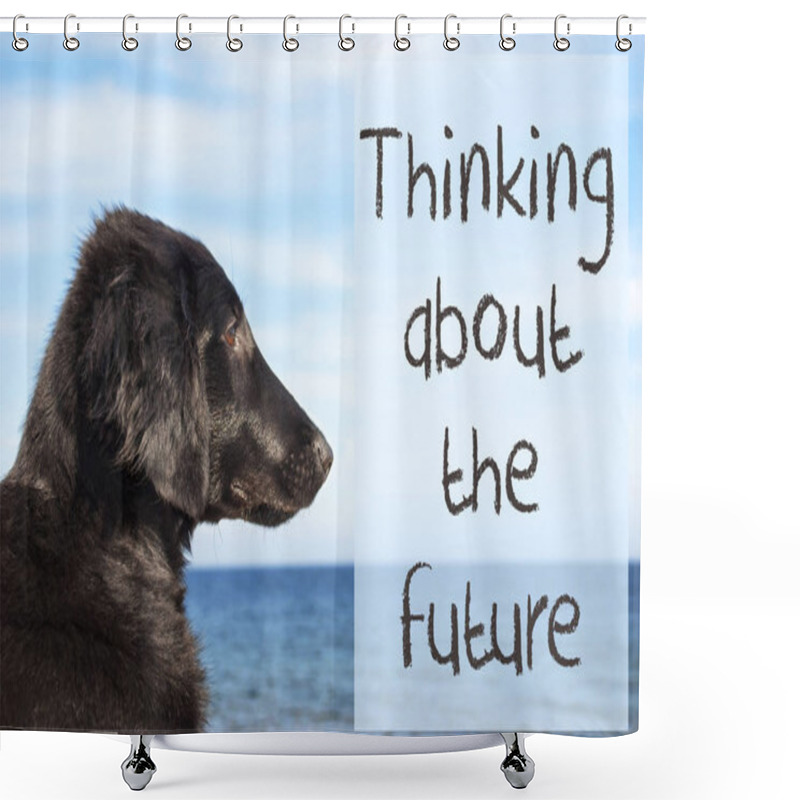 Personality  Dog At Ocean, Text Thinking About The Future Shower Curtains