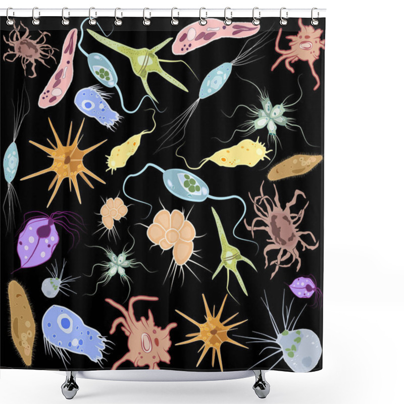 Personality  Set Of Different Single-celled Eukaryote  Protozoas, Vector Illustration Shower Curtains